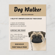 Fawn Mops Beige Dog Walker Dog Walking Haustier Se