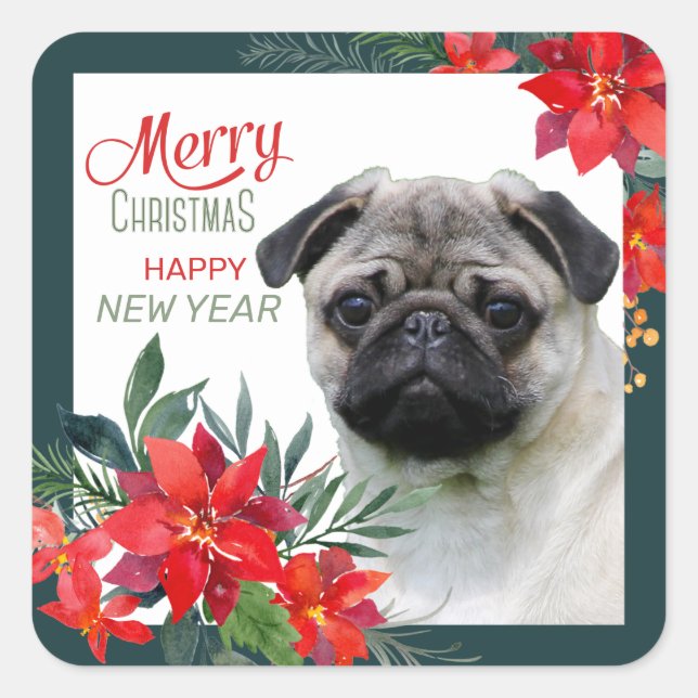 Fawn Mops Dog Poinsettia Bouquet Weihnachten Quadratischer Aufkleber (Vorderseite)