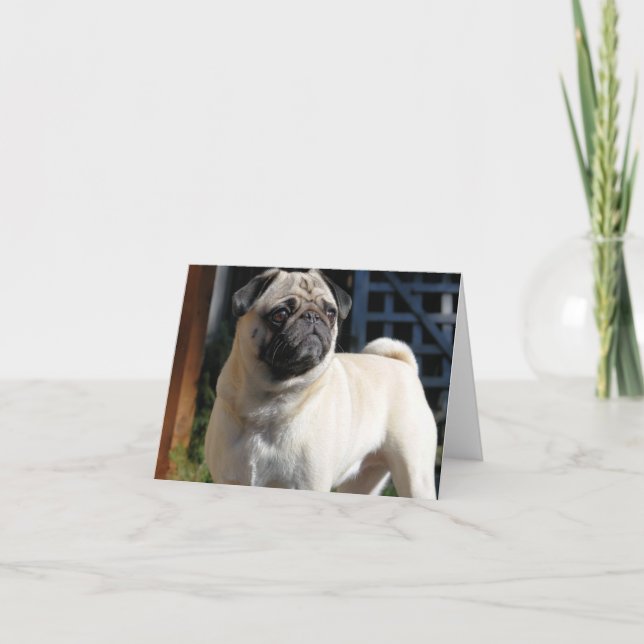 Fawn Mops Note Card - Leere Karte (Vorderseite)