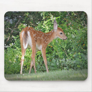 Fawn Mousepad