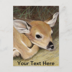 Fawn Postkarte