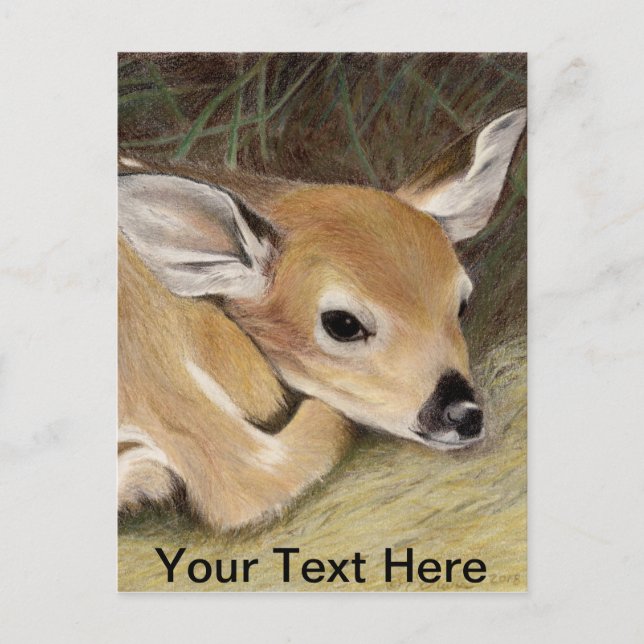 Fawn Postkarte (Vorderseite)