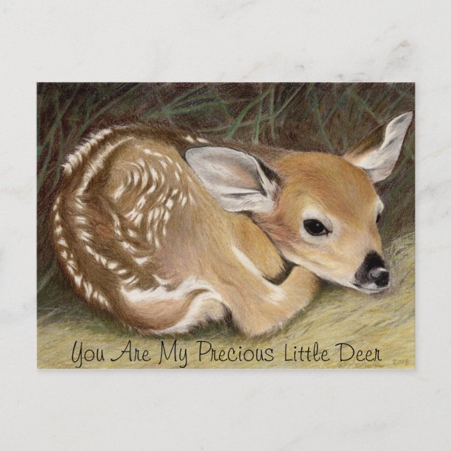 Fawn Postkarte (Vorderseite)