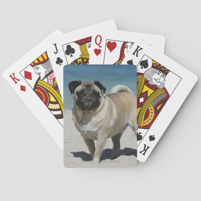 Fawn Pug at the Beach Spielkarten (Rückseite)
