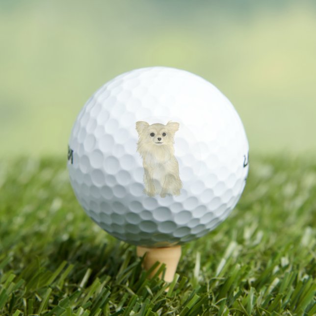 Fawn Tan Long Haired Chihuahua Golfball (Insitu T-Shirt)