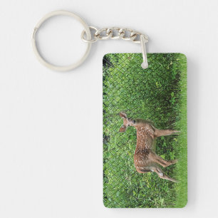 Fawn vor einem Zaun Schlüsselanhänger