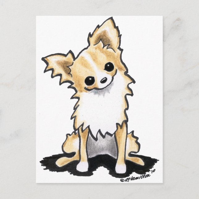 Fawn & White Longhair Chihuahua Sit Hübsch Postkarte (Vorderseite)