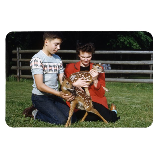 Fawns, Baby Deer Magnet (Horizontal)