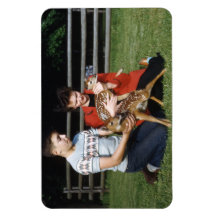 Fawns, Baby Deer