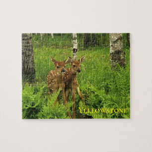 Fawn's Game Puzzle