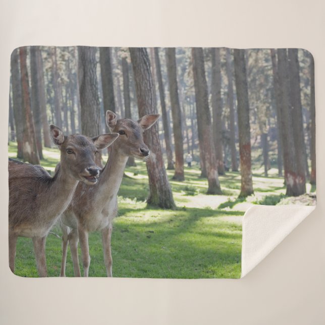 FAWNS SHERPADECKE (Vorderseite (Horizontal))