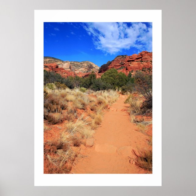 Fay Canyon Trail Poster (Vorne)