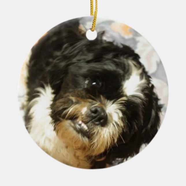 FB_IMG_1481505521015 Shitzu Hund Keramikornament (Vorne)