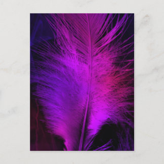 feather beautiful.jpg postkarte