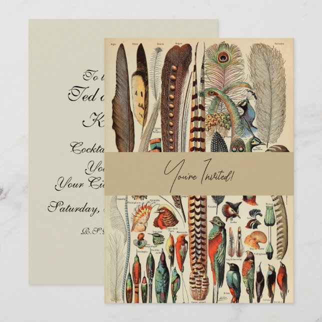Feather Bird Wildlife Antique Feathers Einladung (Vorne/Hinten)