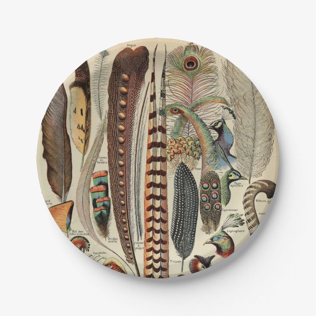 Feather Bird Wildlife Antique Feathers Pappteller (Vorderseite)