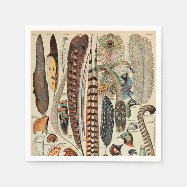 Feather Bird Wildlife Antique Feathers Serviette (Vorderseite)