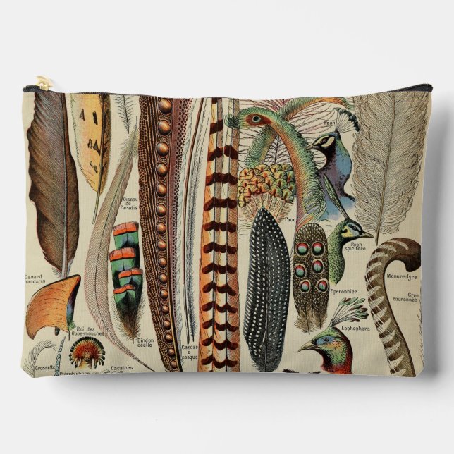 Feather Bird Wildlife Antique Feathers Zubehörtasche (Vorderseite)