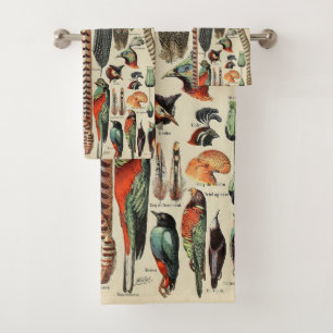 Feather Bird Wildlife Plumes d'antiquités