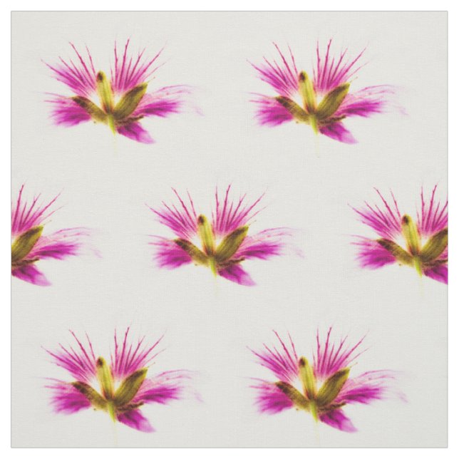 Feather-Blume Stoff (Muster)