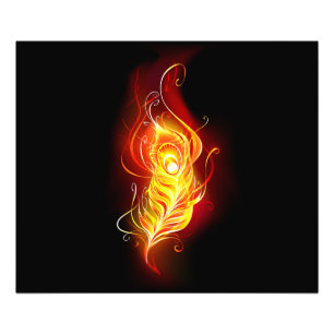 Feather Fotodruck