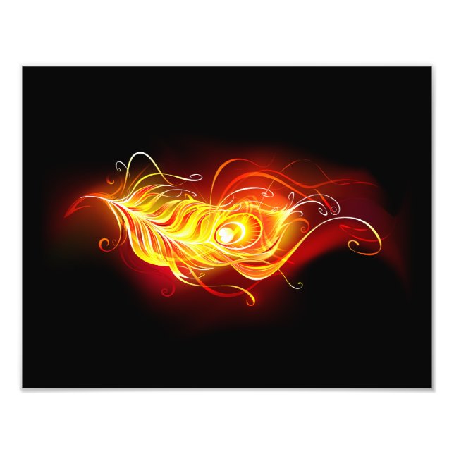 Feather Fotodruck (Vorne)
