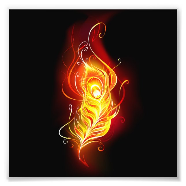 Feather Fotodruck (Vorne)