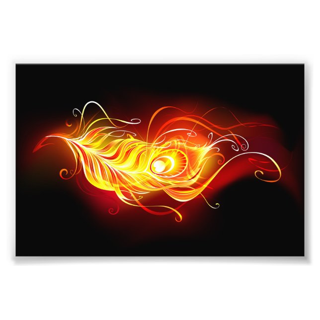Feather Fotodruck (Vorne)