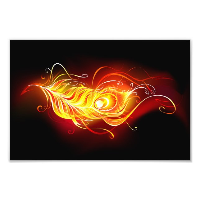 Feather Fotodruck (Vorne)