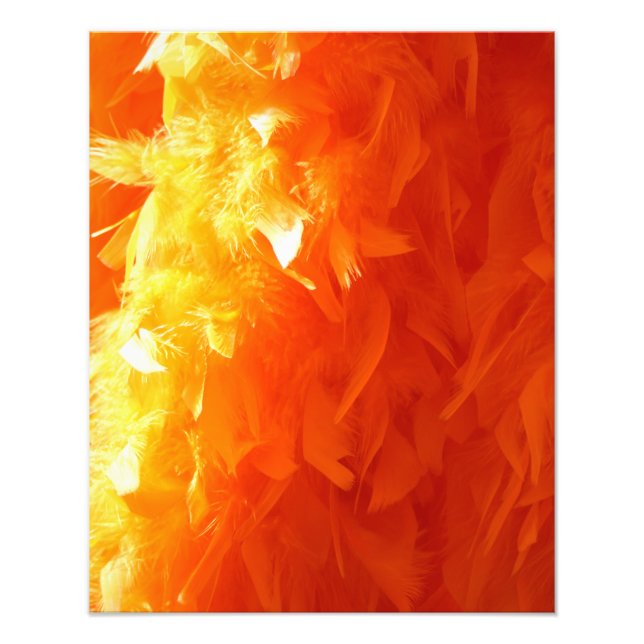 Feather Fotodruck (Vorne)