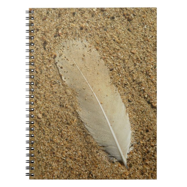 Feather in Sand Notizblock (Vorderseite)