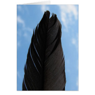 Feather in Sky