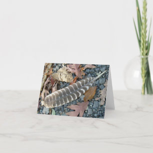 Feather Note Card Karte