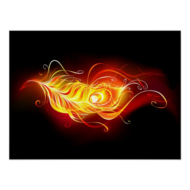 Feather Poster (Vorderseite)