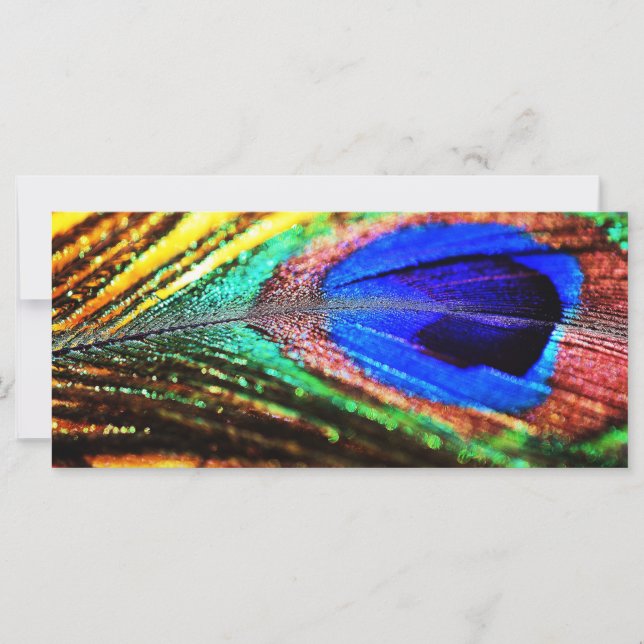 Feather von Shirley Taylor (Vorderseite)