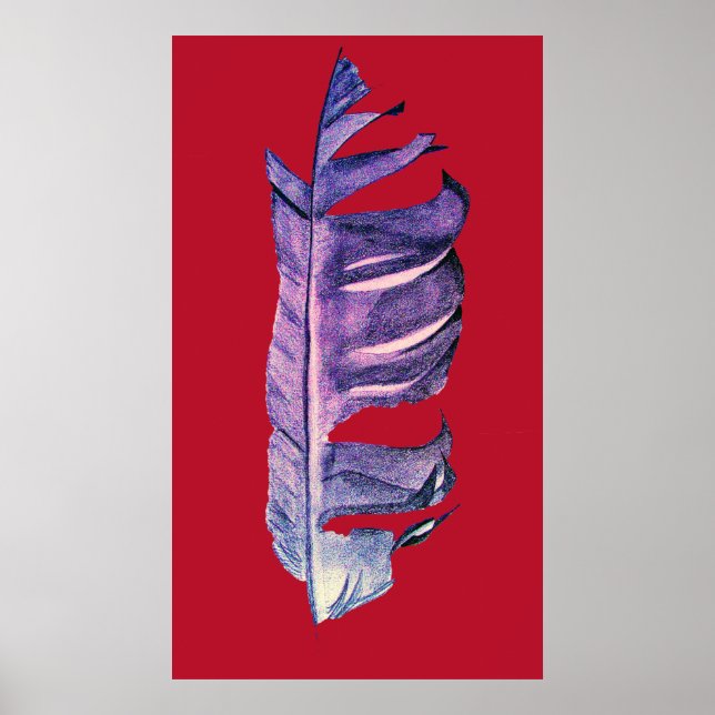 Feather zeichne originelle Kunstillustrierung Poster (Vorne)