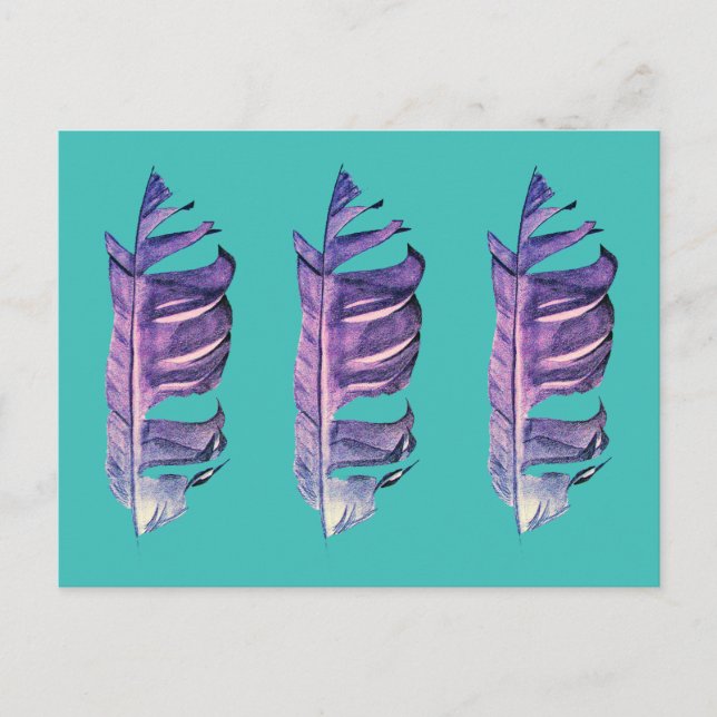 Feather zeichne originelle Kunstillustrierung Postkarte (Vorderseite)