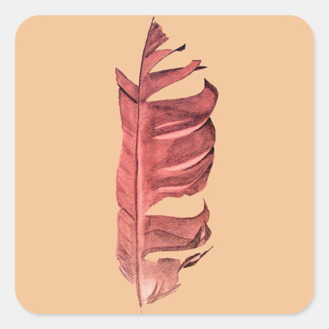 Feather zeichne originelle Kunstillustrierung Quadratischer Aufkleber (Vorderseite)