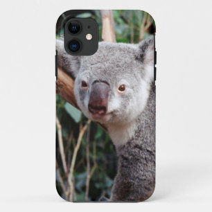 Featherdale Wildlife Park, Koala Bears title_seo2