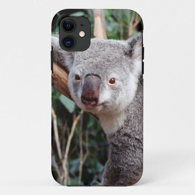 Featherdale Wildlife Park, Koala Bears Case-Mate iPhone Hülle (Rückseite)