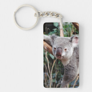 Featherdale Wildlife Park, Koalas Schlüsselanhänger