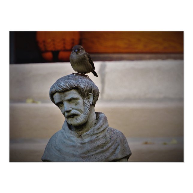 "Feathered Friend of Saint Francis" Fotodruck (Vorne)