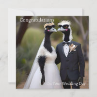 "Feathered Vows: Eine emu-schöne Gewerkschaft der