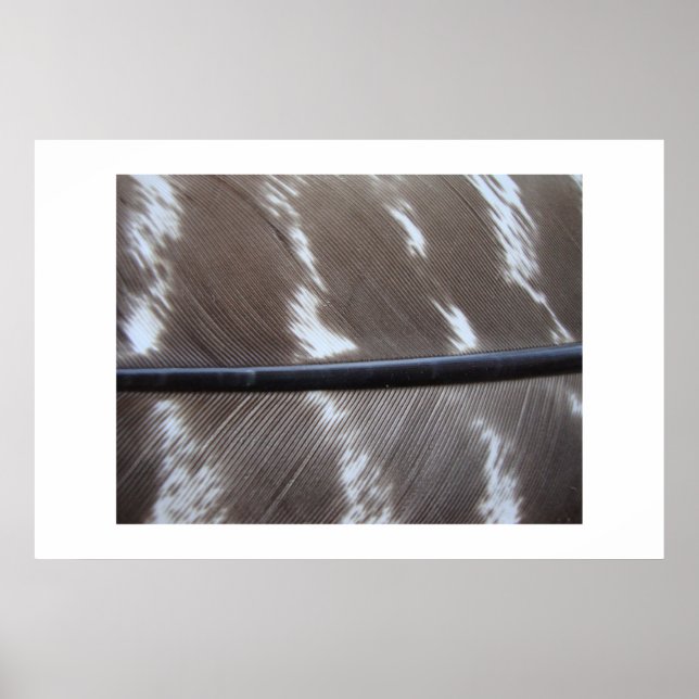 featherphoto 007 poster (Vorne)