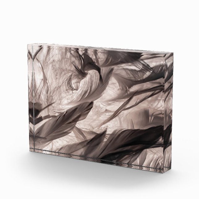 Feathers Fotoblock (Rechts)