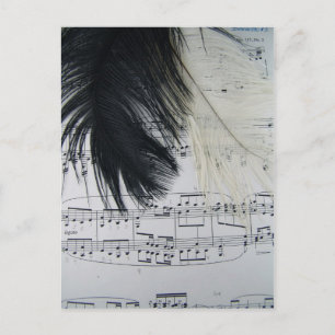 Feathers & Music Postkarte