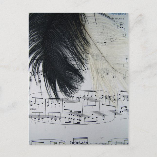 Feathers & Music Postkarte (Vorderseite)