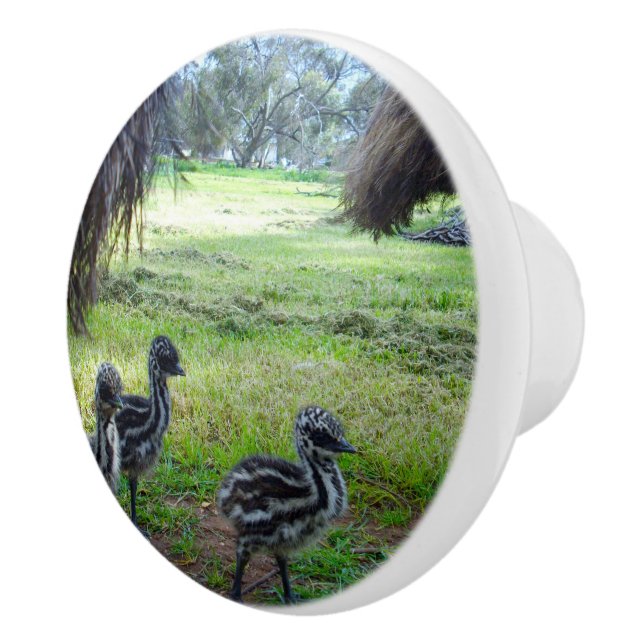 "Feathers of the Future: Three Baby Emu Chicks" Keramikknauf (Rechts)