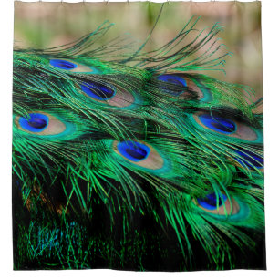 Feathers Peacock Feathers Duschvorhang