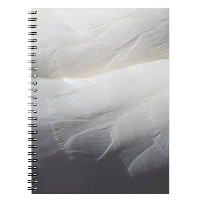Feathers white schwan plumper notizblock (Vorderseite)